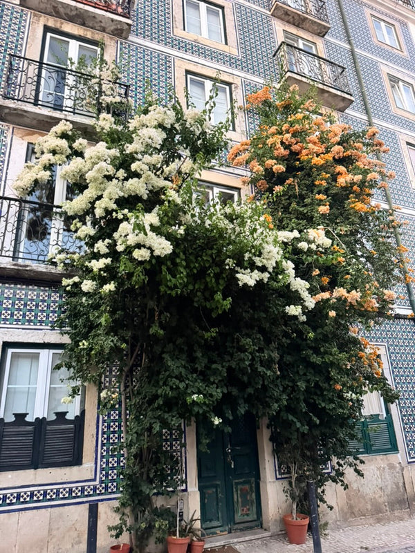 The Jones List: 48 Hours in Lisbon