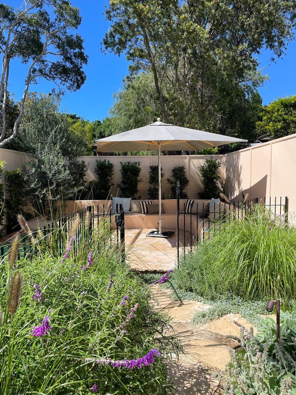 A Garden Becomes a Stage: Our Bondi Transformation