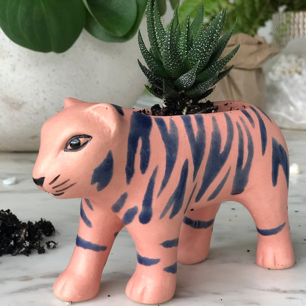 THE TOP 5 PLANTS FOR OUR MINI PLANTERS (AND 10 EASY STEPS FOR HOW TO PLANT THEM OUT!)