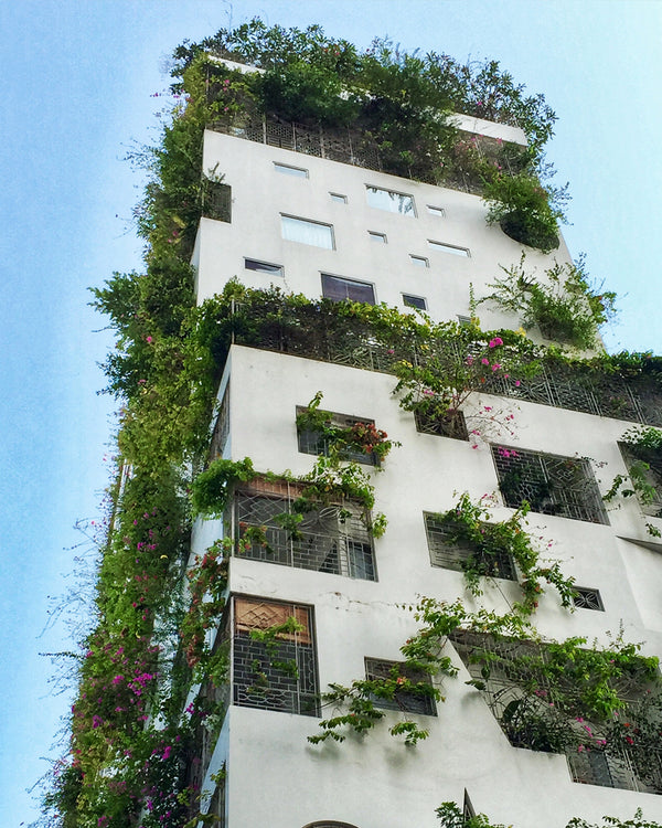 New discoveries every visit to Ho Chi Minh City