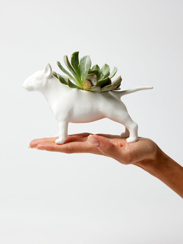 BULL TERRIER PLANTER