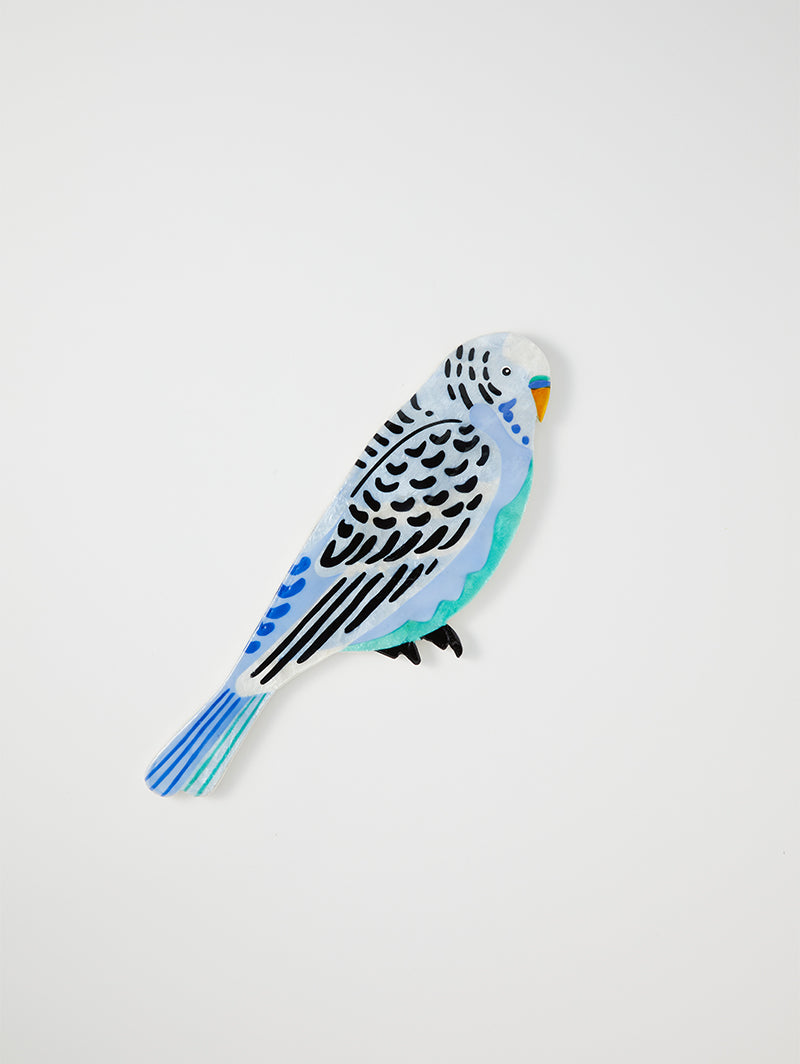 AERIAL BUDGIE WALL ART