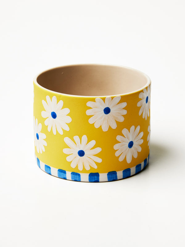 SUNSEEKER PLANTER GOLD/BLUE