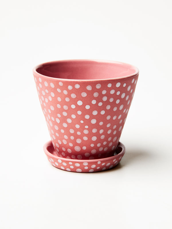 POCKET PLANTER PINK SPOT