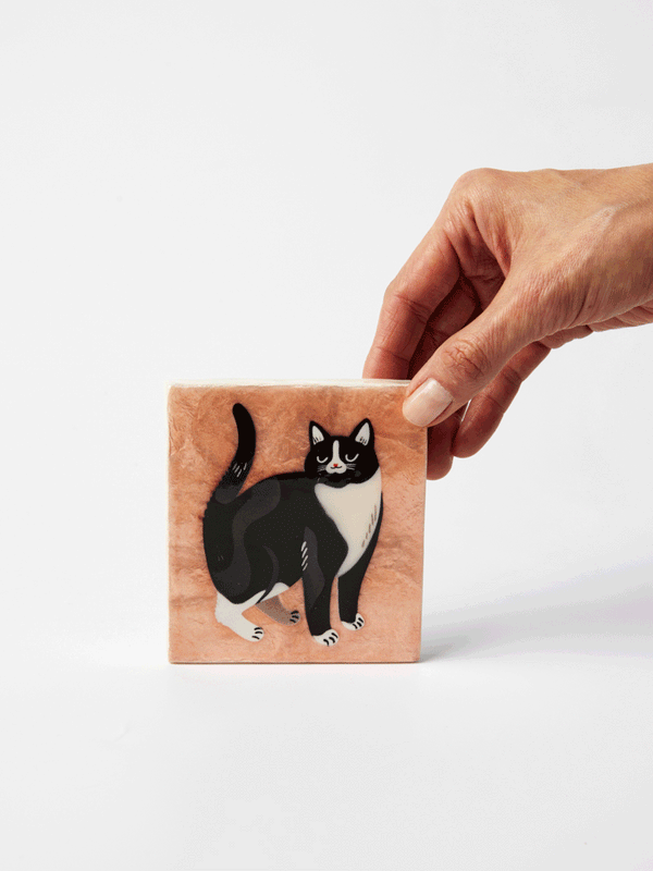 PURR SHORTHAIR CAT