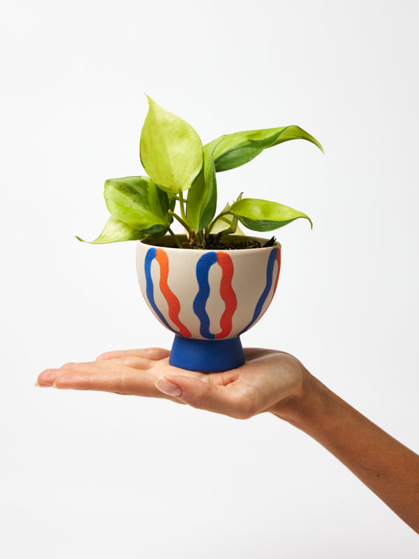 LOOPY PLANTER RED/BLUE