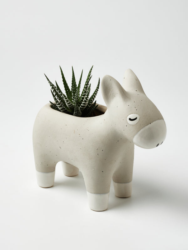 Planters & Pots — Jones & Co