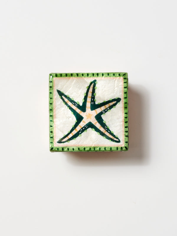 MARINER BOX STARFISH